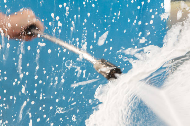 Best Animal Enclosure Cleaning  in The Meadows, FL